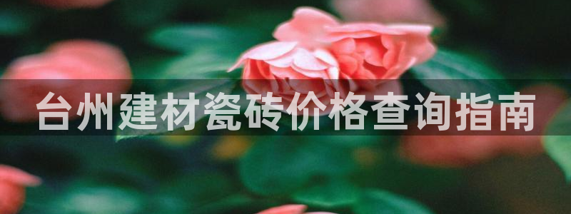 杏鑫平台官方网站