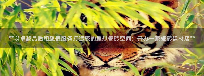 杏鑫平台代理怎么样可靠吗