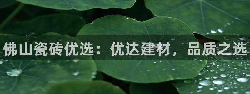 杏鑫平台待遇