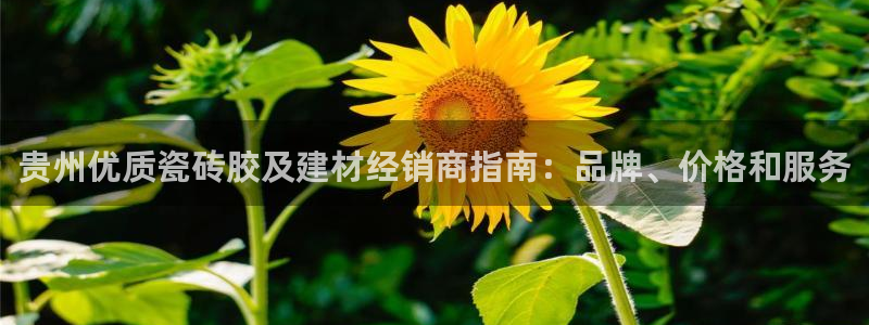 杏鑫平台测速怎么样