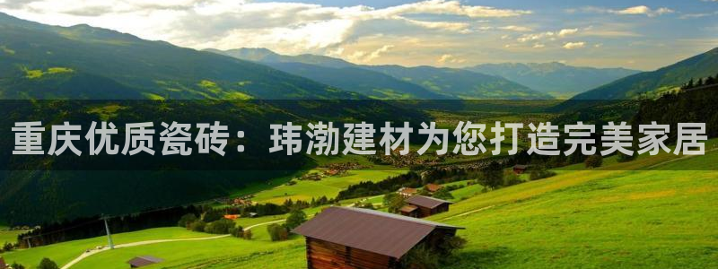 杏鑫平台代理怎么样