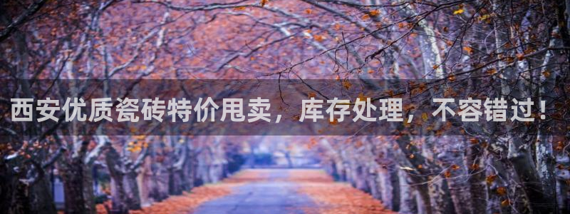 杏鑫平台招商电话号码