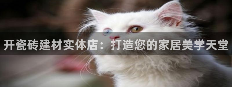 杏鑫平台平台娱乐