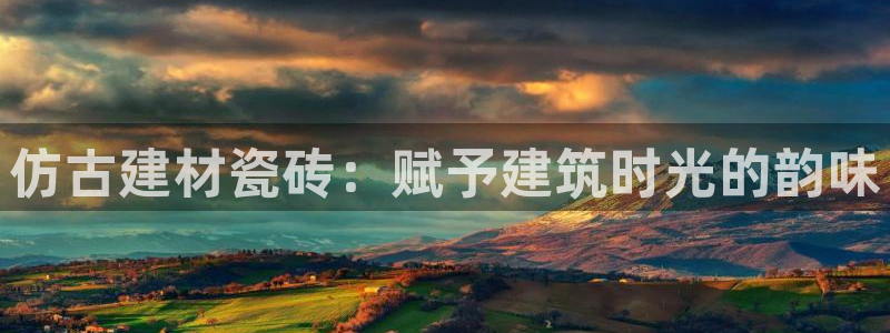 杏鑫平台代理怎么做的