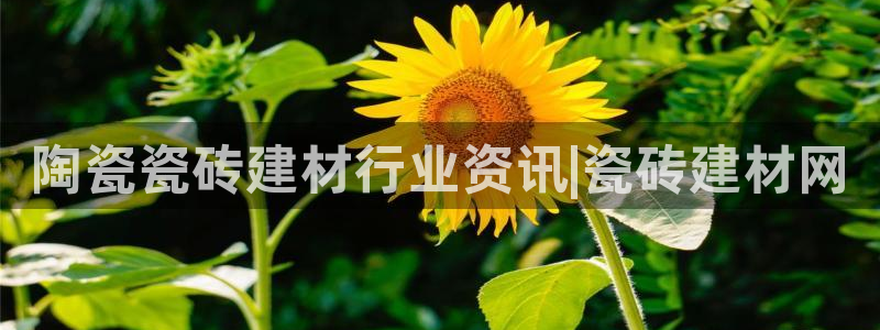 杏鑫平台靠谱吗