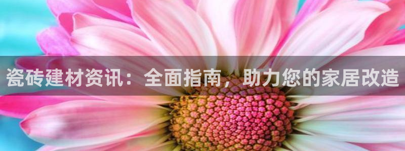杏鑫平台代理怎么做的