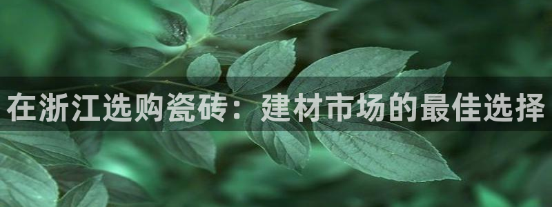杏鑫平台注册登录