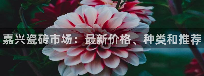杏鑫平台号7O777