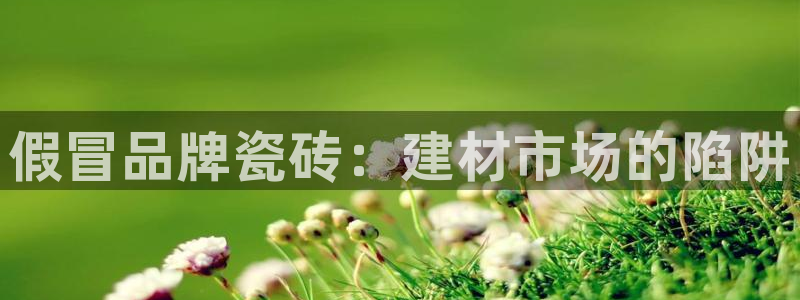 杏鑫注册平台官方网站是什么