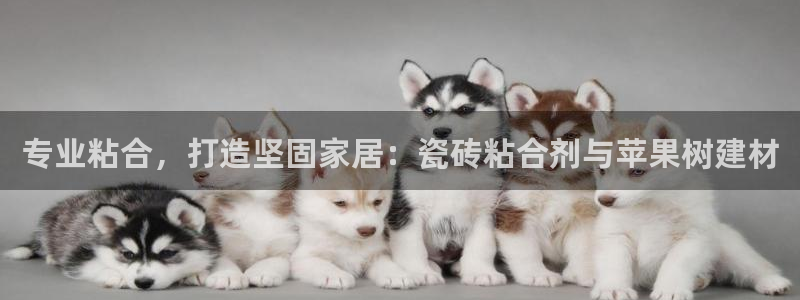 杏鑫手机客户端