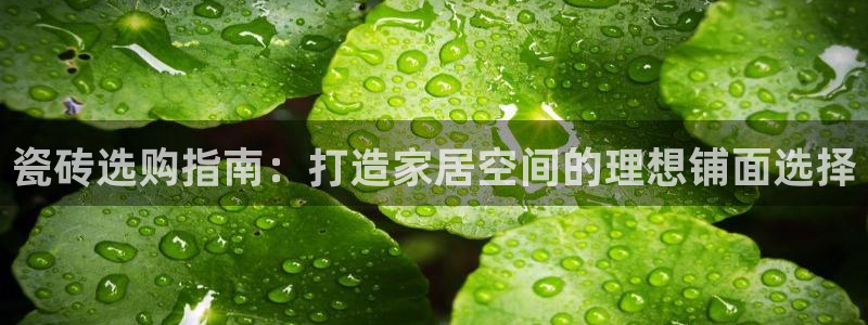 杏鑫平台登录