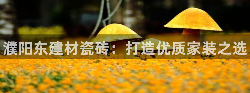 杏鑫平台代理注册要钱吗