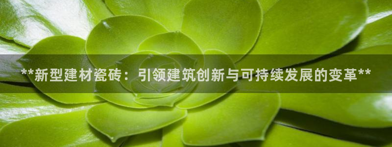 杏鑫平台线路测速
