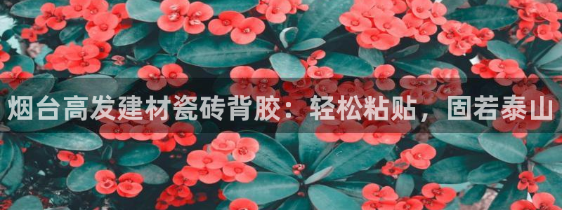杏鑫平台正规吗可信吗