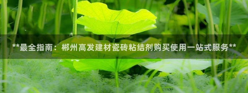 杏鑫娱乐多少年了