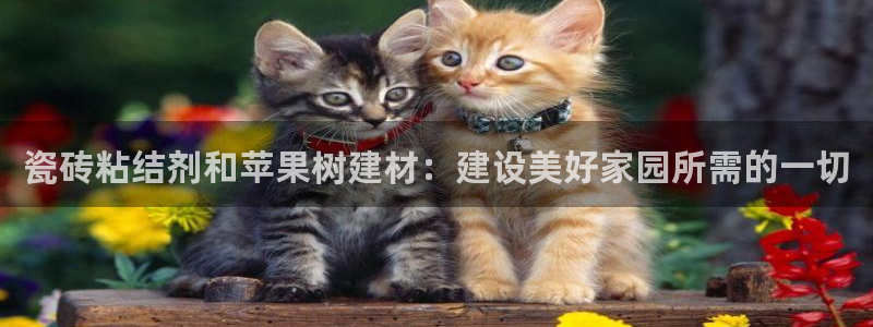 杏鑫官网注册账号是什么