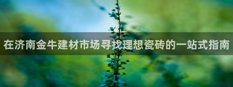 杏鑫娱乐负责人