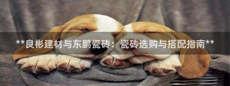 杏鑫手机客户端