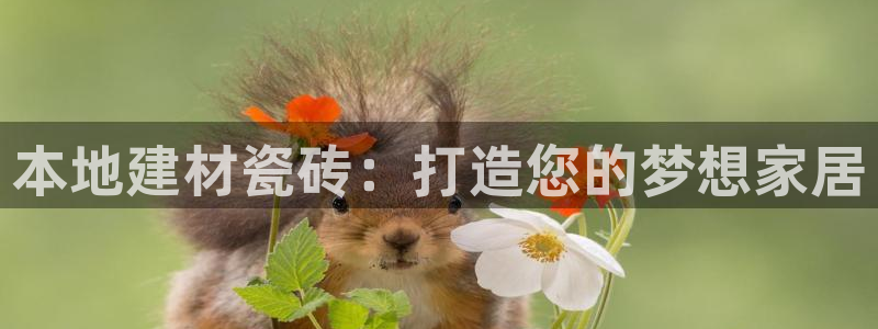 杏鑫娱乐官网登录不了