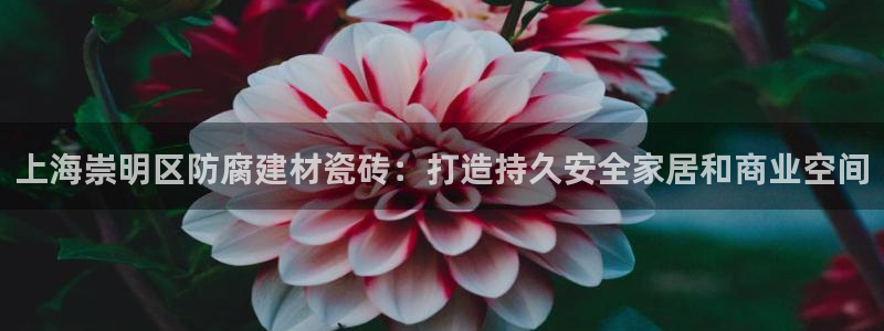 杏鑫平台代理注册