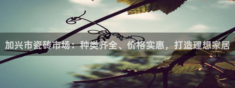 杏鑫平台注册入口在哪
