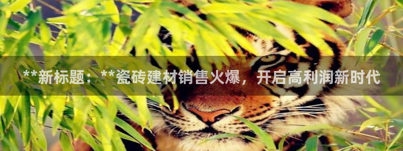 杏鑫注册登录代理