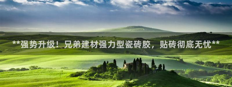 杏鑫平台代理注册