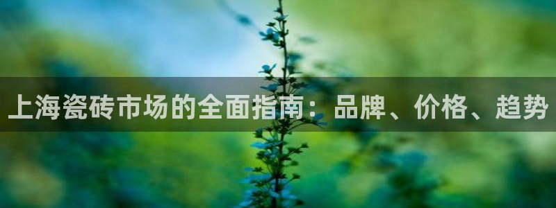 杏鑫平台注册网址查询