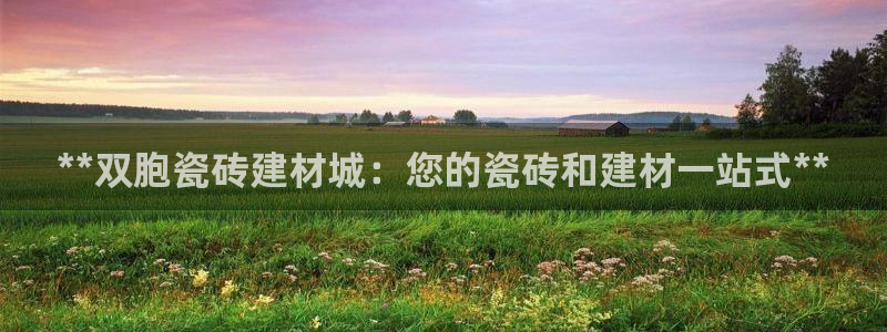 杏鑫官方平台怎么样