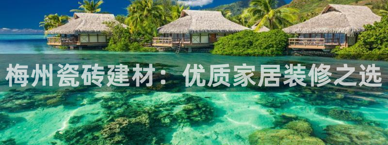 杏鑫注册登录网