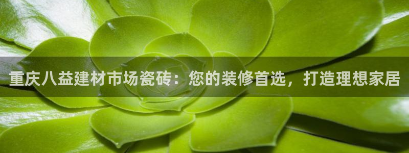 杏鑫平台代理怎么做