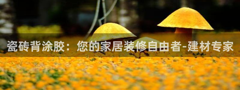 杏鑫登录注册测速