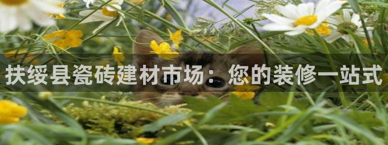 杏鑫测速注册