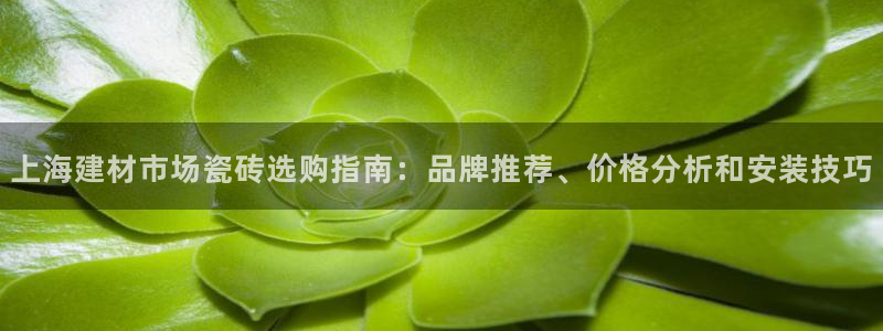 杏鑫平台平台娱乐怎么样