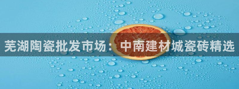 杏鑫代理注册资金多少