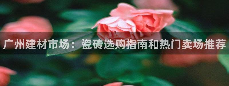 杏鑫注册平台官方网站