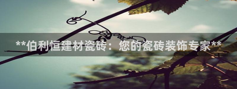 杏鑫招商总代