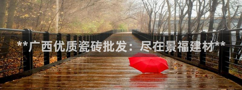 杏鑫3主管