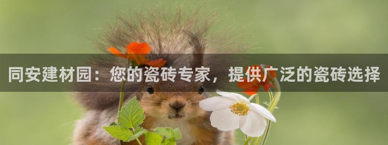 杏鑫平台怎么样黑钱吗是真的吗还是假的