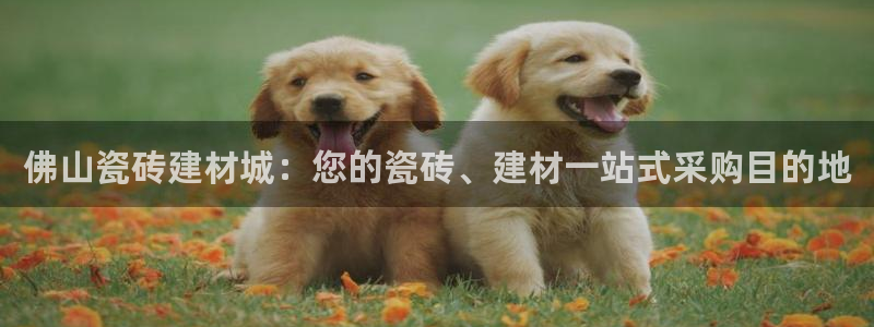 杏鑫平台是黑平台吗是真的吗