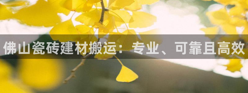 杏鑫平台招商怎么样