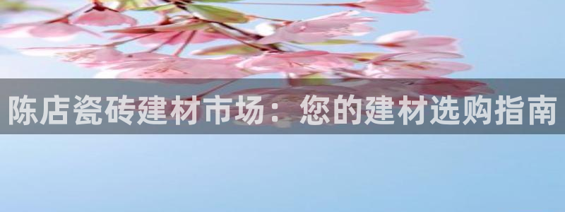 杏鑫官方平台怎么样啊知乎