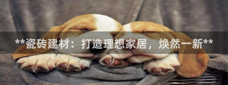 杏鑫官网最新信息新闻报道
