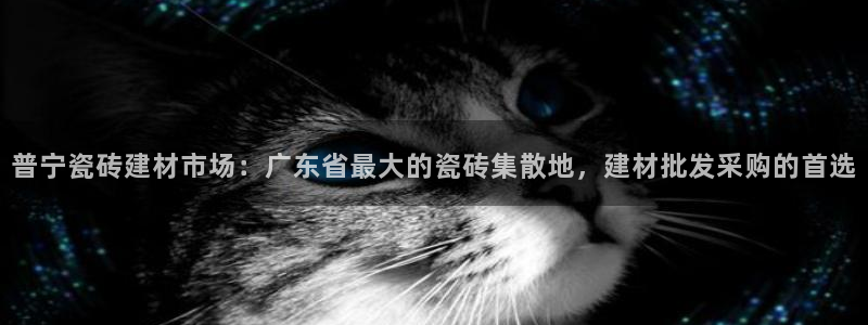 杏鑫手机客户端