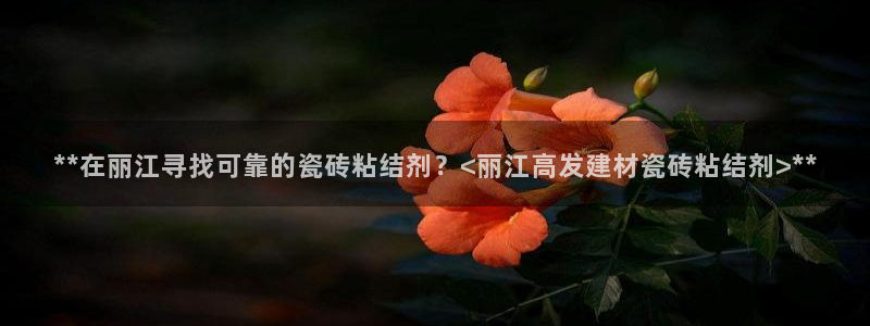 杏鑫官方app代理