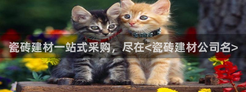 杏鑫平台登陆