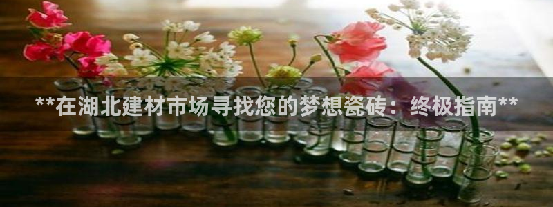 杏鑫平台代理怎么做