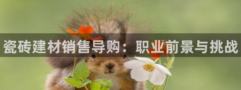 杏鑫平台野马联盟怎么样