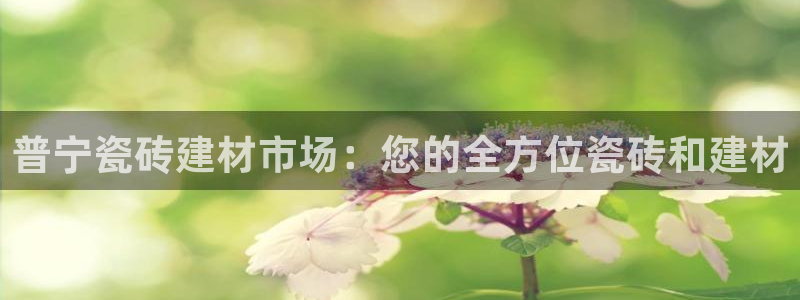 杏鑫平台招商电话是多少