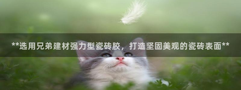 杏鑫娱乐官网下载